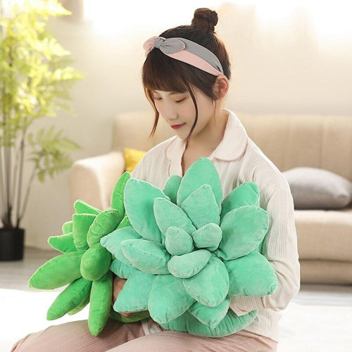 BowLift | Vibrant Succulent Plush Squad