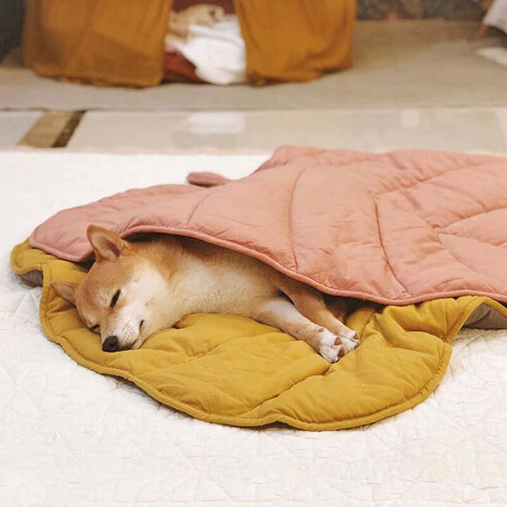 BowLift | Leafnest – Leaf-Shaped Dog Blanket for Comfort & Style