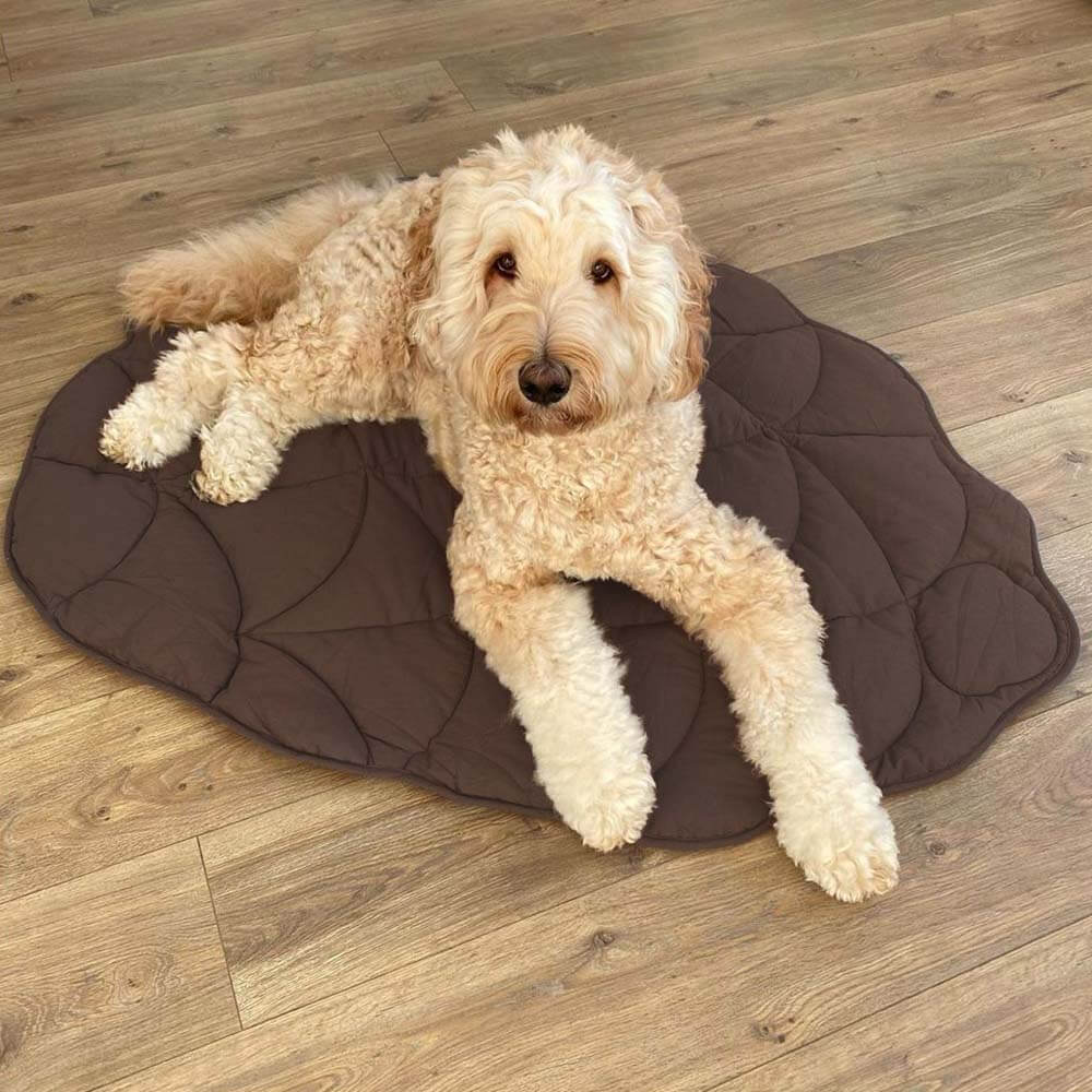 BowLift | Leafnest – Leaf-Shaped Dog Blanket for Comfort & Style