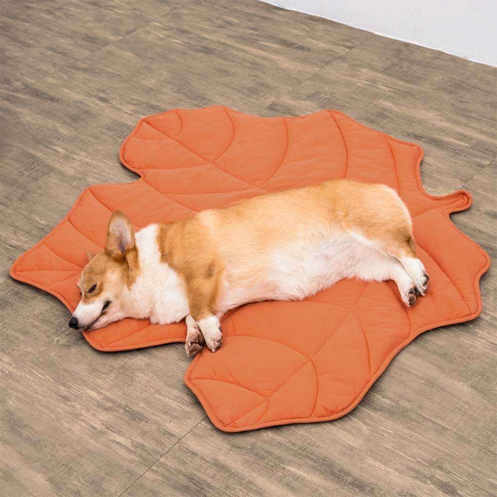 BowLift | Leafnest – Leaf-Shaped Dog Blanket for Comfort & Style