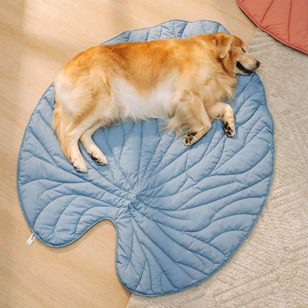 BowLift | Leafnest – Leaf-Shaped Dog Blanket for Comfort & Style