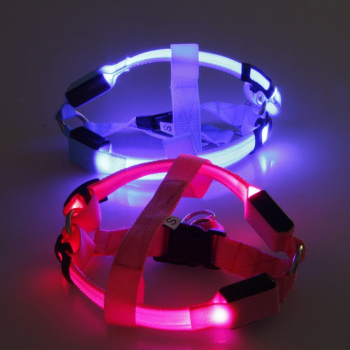 LED Dog Harness - Glow&Go Bowlift