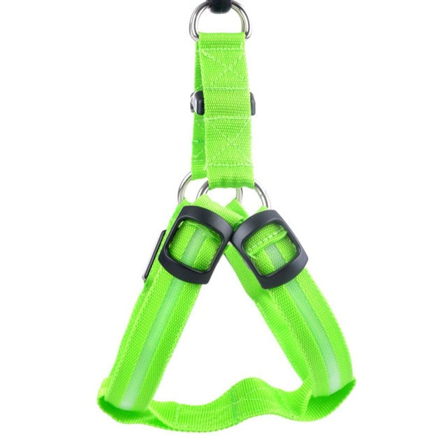 LED Dog Harness - Glow&Go Bowlift