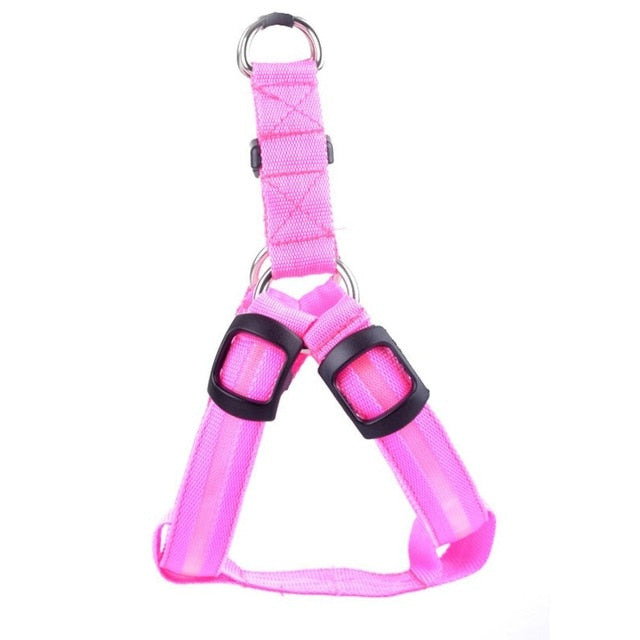 LED Dog Harness - Glow&Go Bowlift