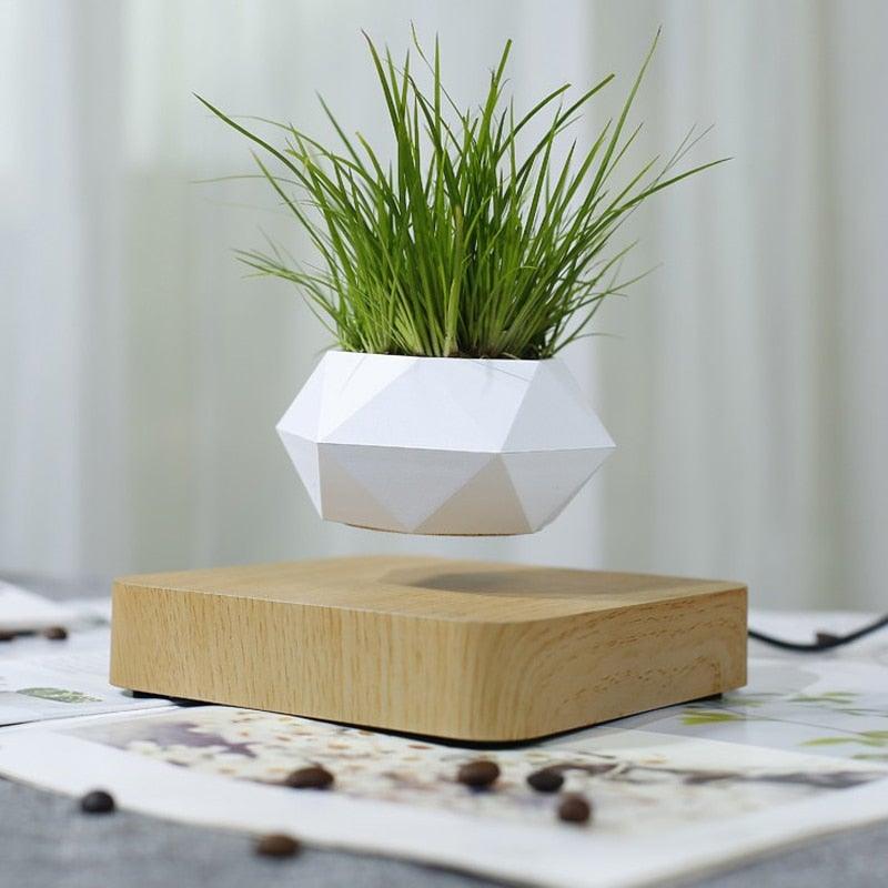 BowLift | Floating Air Bonsai Pot