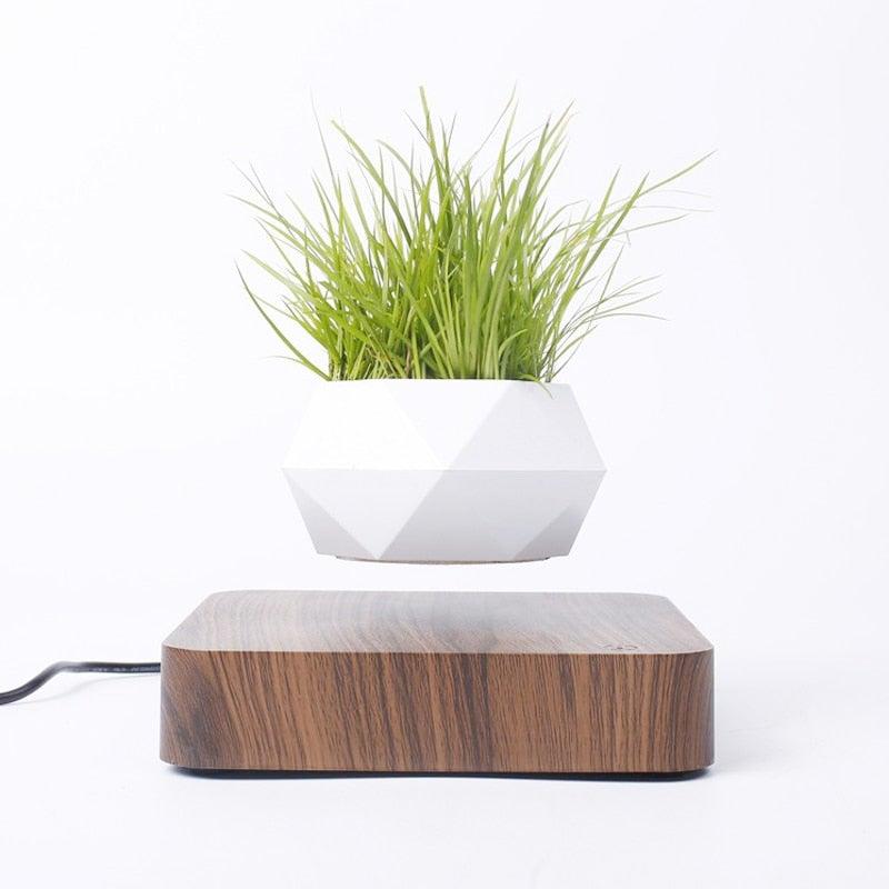 BowLift | Floating Air Bonsai Pot