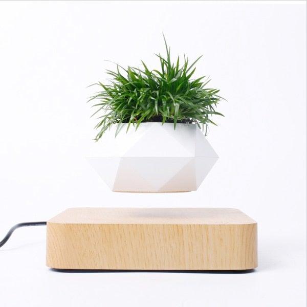 BowLift | Floating Air Bonsai Pot