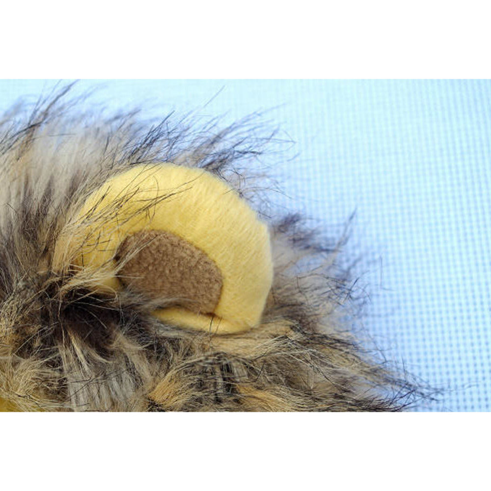 LionPaws Lion Mane for Your Cat Bowlift