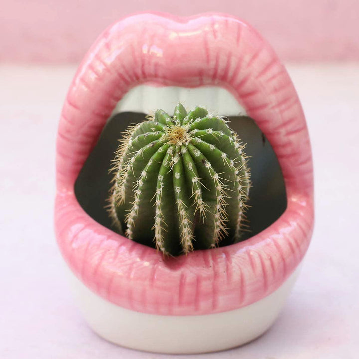 BowLift | Lips Flower Pot