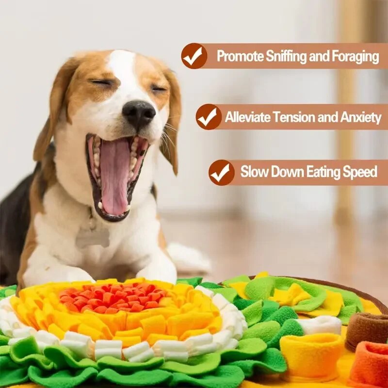 BowLift | Snuffle Mat for Dogs