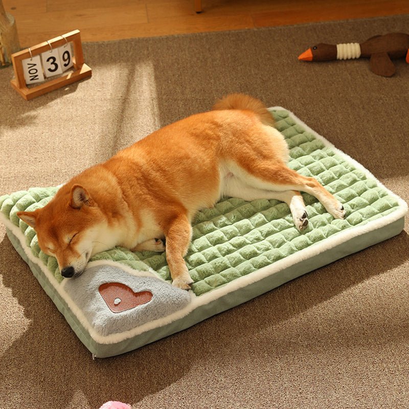 BowLift | LUXEPLUSH – Premium Plush Dog Bed for Small to Medium Dogs