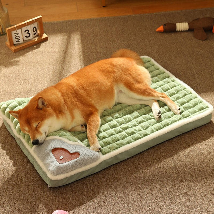 BowLift | LUXEPLUSH – Premium Plush Dog Bed for Small to Medium Dogs