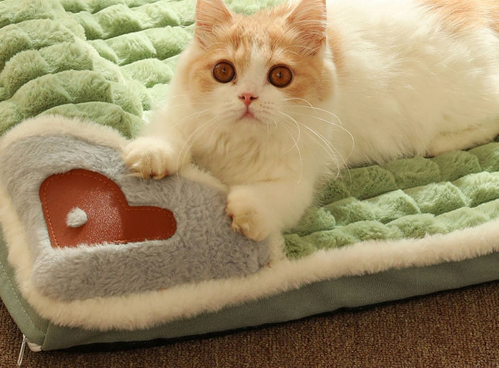 BowLift | LUXEPLUSH – Premium Plush Dog Bed for Small to Medium Dogs