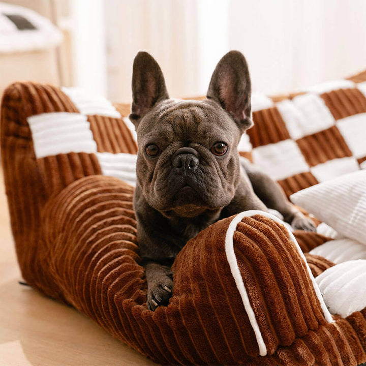 Luxurious Dog Bed Sofa - King's Chillout Sofa Bowlift
