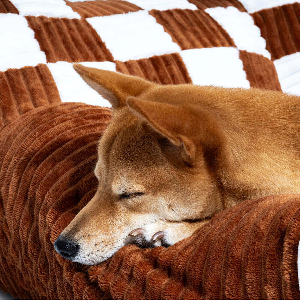Luxurious Dog Bed Sofa - King's Chillout Sofa Bowlift