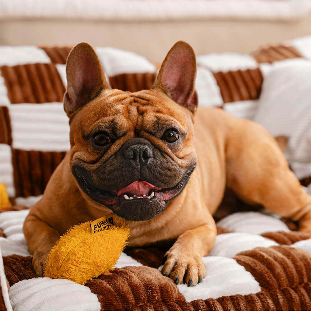 Luxurious Dog Bed Sofa - King's Chillout Sofa Bowlift