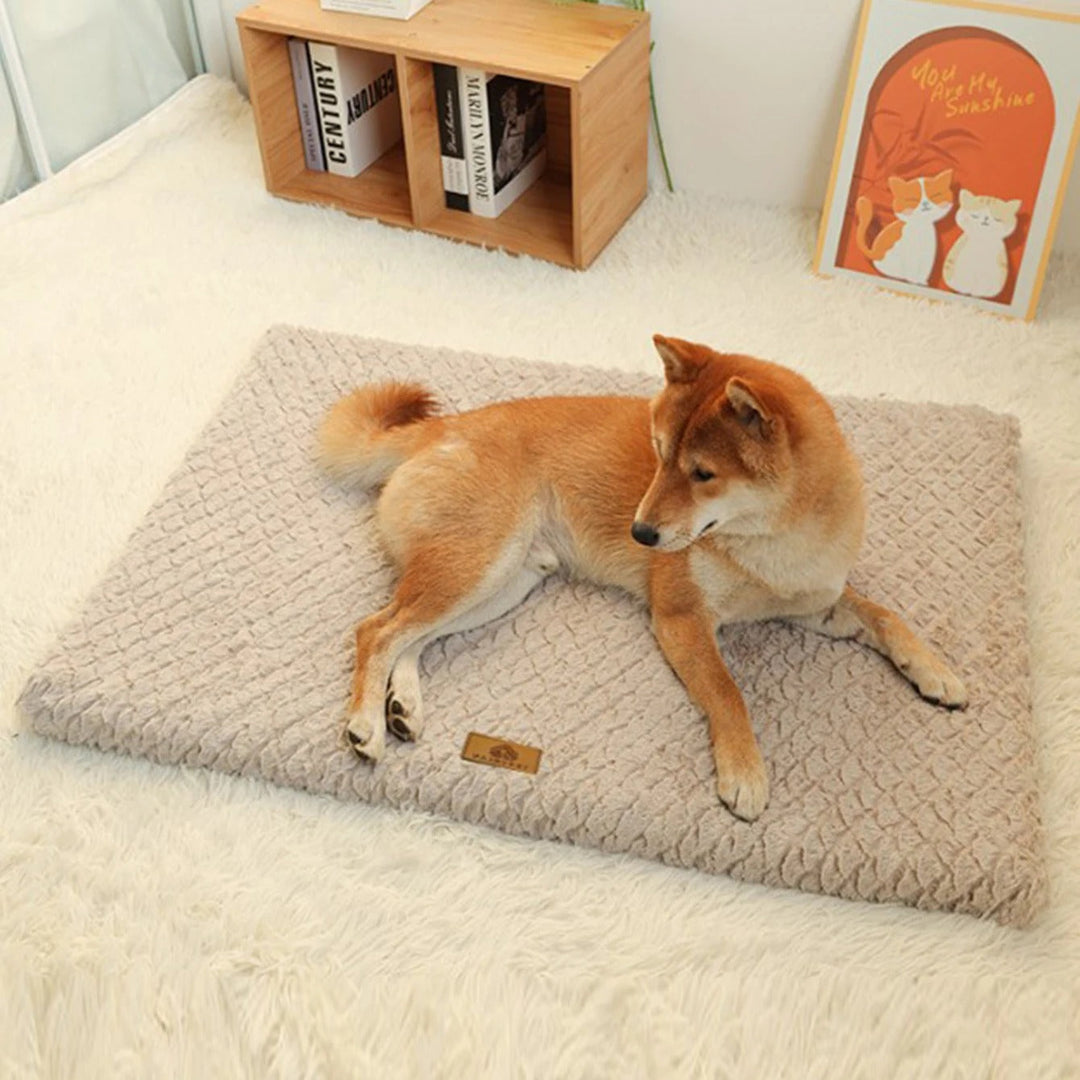 ComfyPaws Dog Mat Bowlift