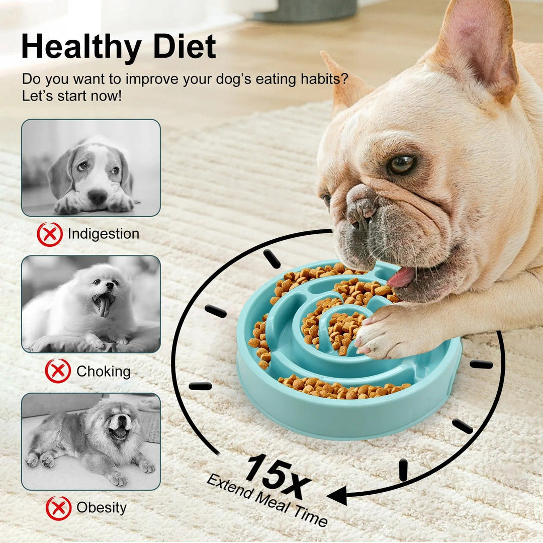 Slow Feed Pet Bowl Bowlift