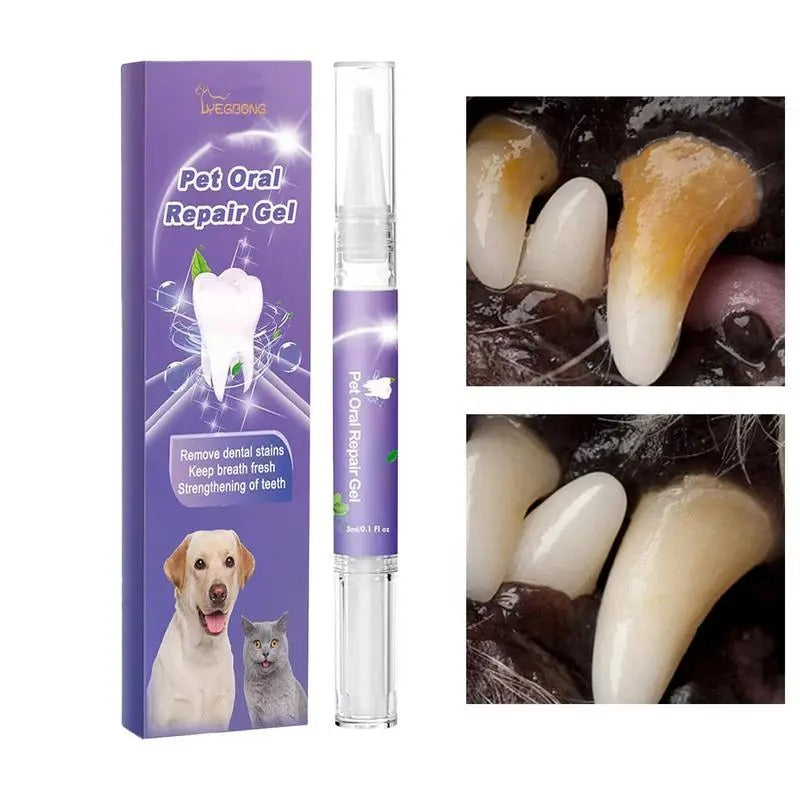 Dental Care Pen for Pets Bowlift