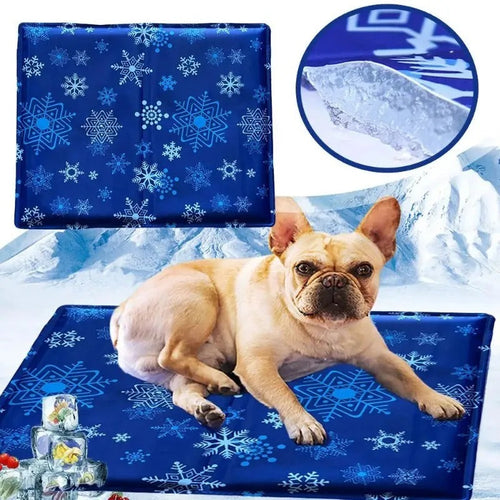 Chill Paw Cooling Mat Bowlift