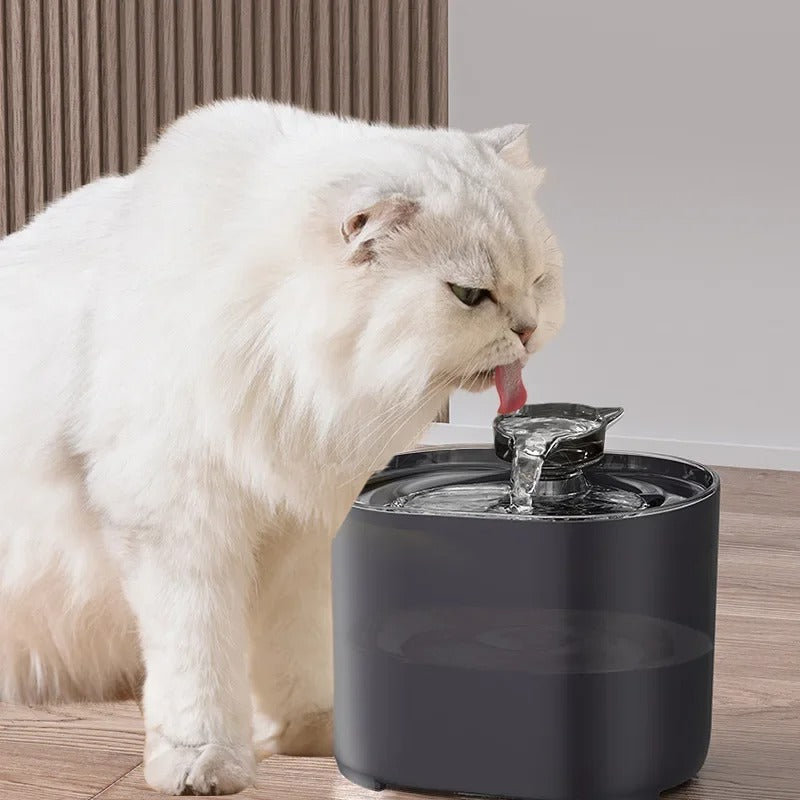 BowLift | Wireless Automatic Cat Water Fountain | Filtered Fresh Water for Your Pet
