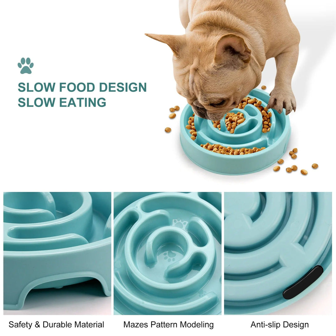Slow Feed Pet Bowl Bowlift