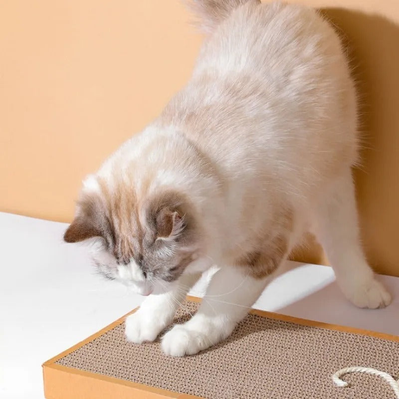 Cat Cardboard Mat Scraper Bowlift