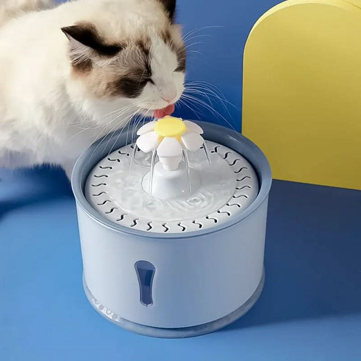 BowLift | Automatic Drinking Fountain with Filtration System for Pets