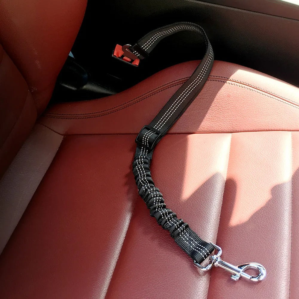 BowLift | Elastic dog safety belt