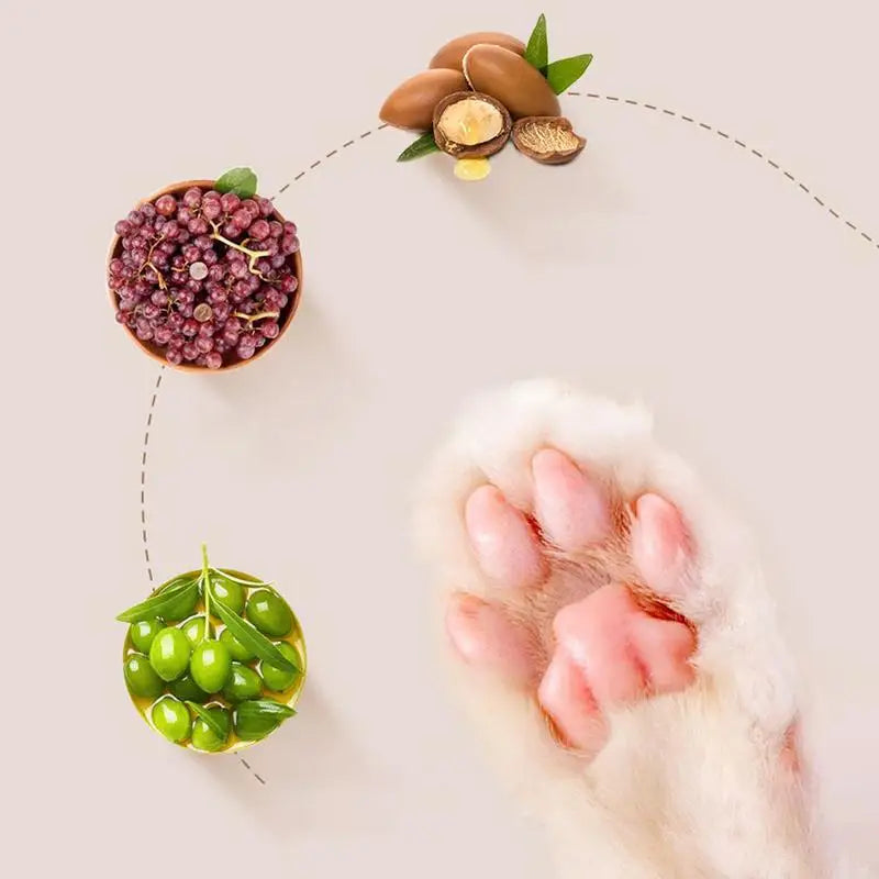 Paw Care Cream for Dogs & Cats Bowlift