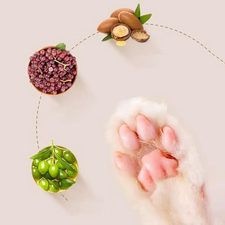 Paw Care Cream for Dogs & Cats Bowlift