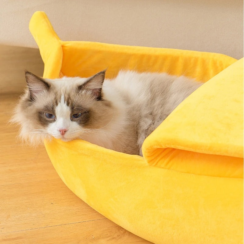 Banana Cat Bed Bowlift