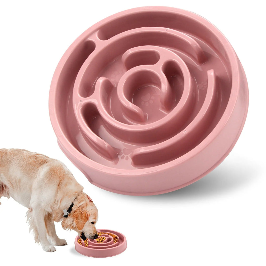 Slow Feed Pet Bowl Bowlift
