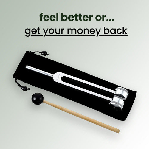 VibeTherapy - Geavanceerd Geluidstherapie Apparaat Bowlift