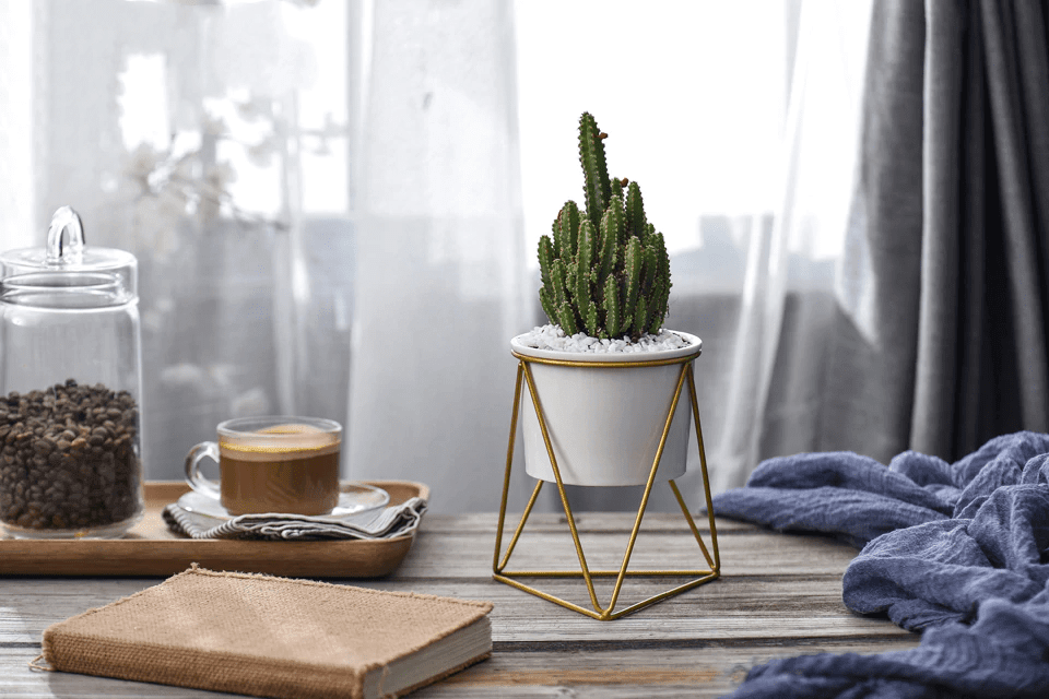 BowLift | LIVIA – Elegant flower pot for stylish decoration