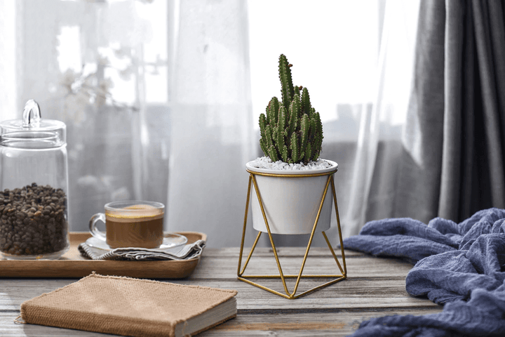 BowLift | LIVIA – Elegant flower pot for stylish decoration