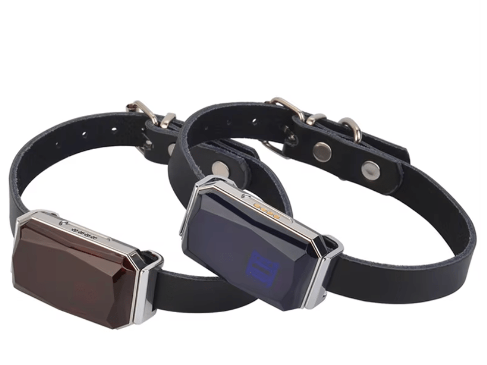 BowLift | Mini GPS Tracker G12 – Real-Time Tracking for Safety & Security