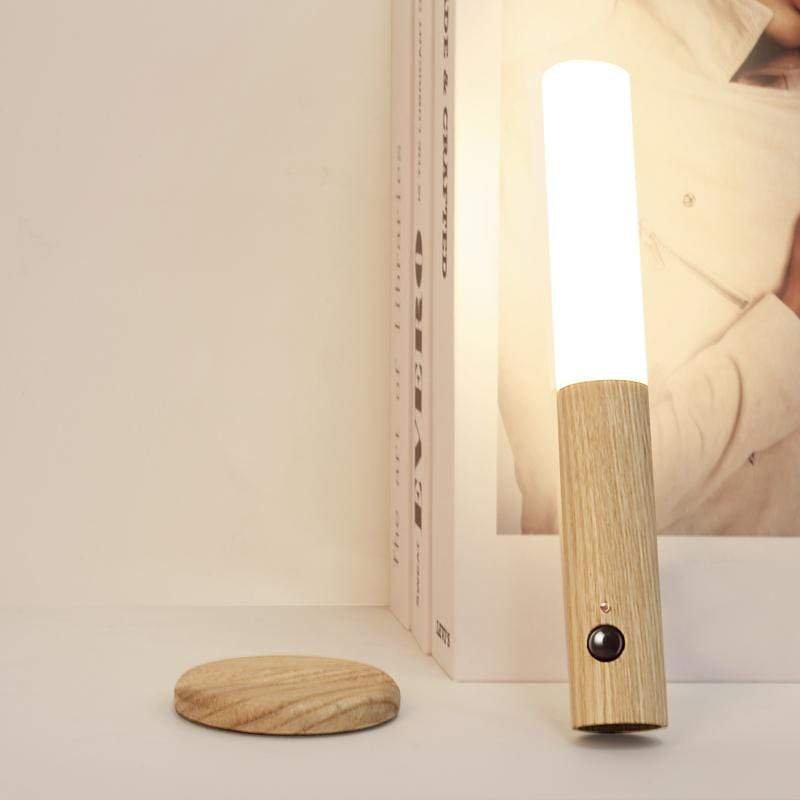 Mountable Motion Sensor Light Bowlift
