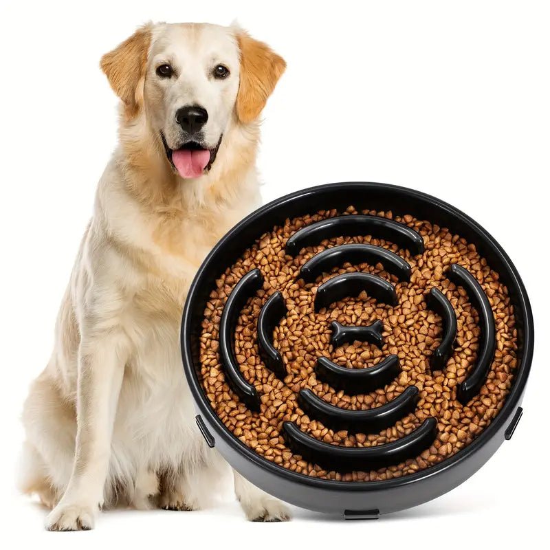 MunchMaze • Dog Feeding Bowl Slow - Dog Feeding Bowl Slow - BowLift