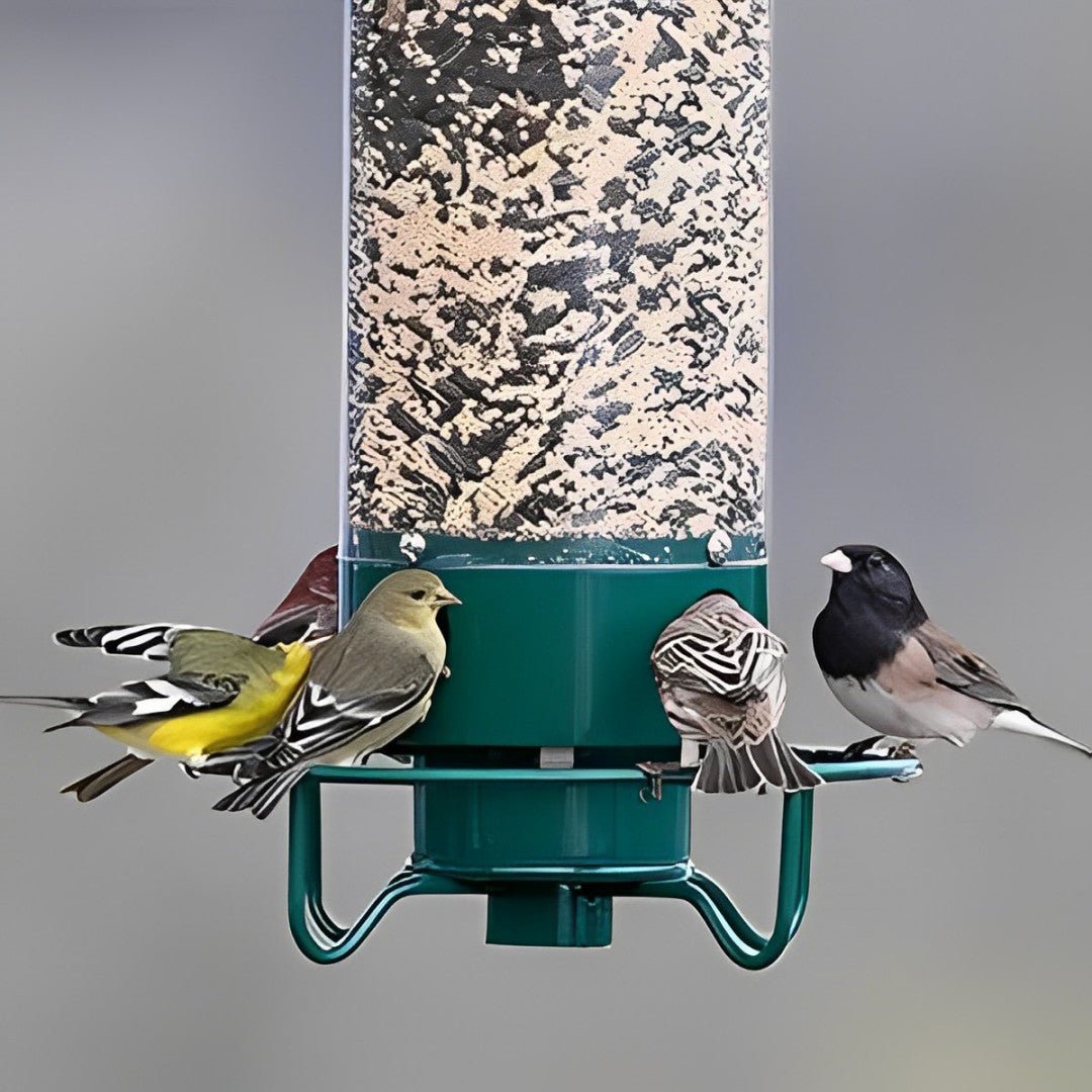 BowLift | NUTRIGUARD – Squirrel-Proof Bird Feeder with Weight Control