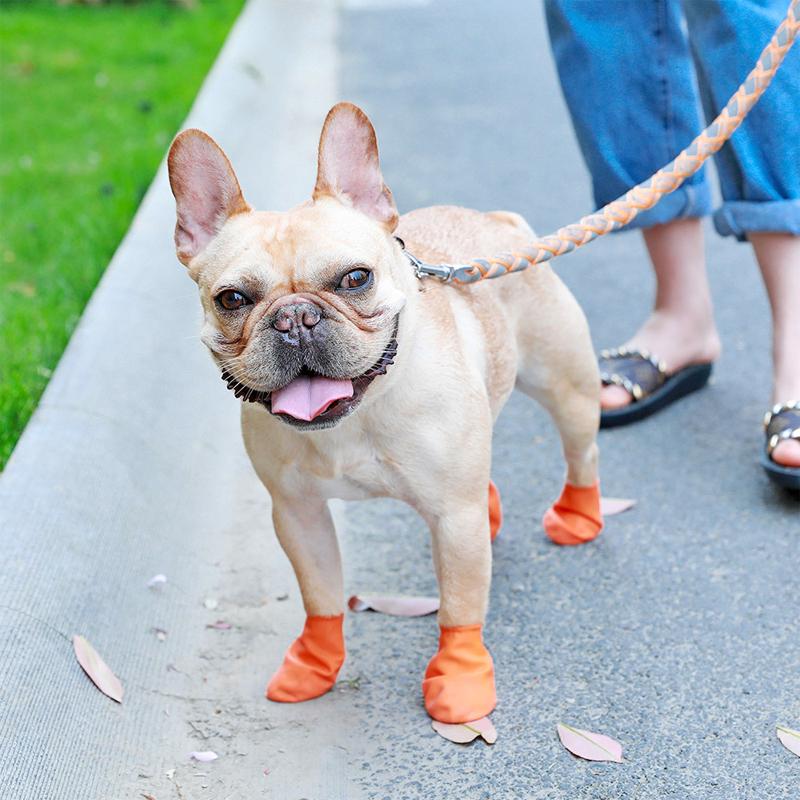 BowLift | PootShield Waterproof Dog Shoes with Grip and Protective Comfort