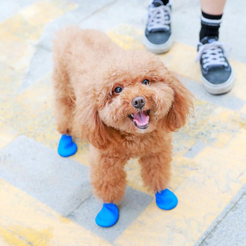 BowLift | PootShield Waterproof Dog Shoes with Grip and Protective Comfort