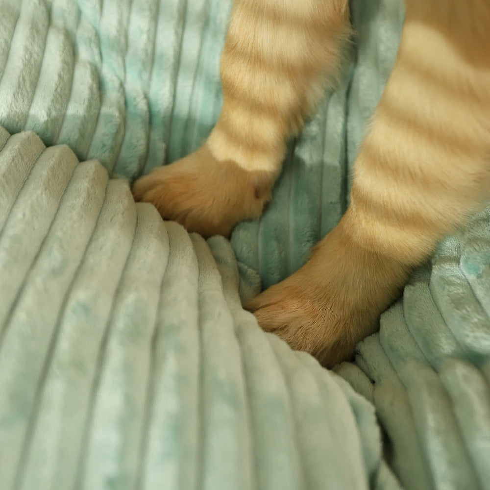 Orthopaedic Dog Bed with Removable Cover - SnuggleRest Bowlift