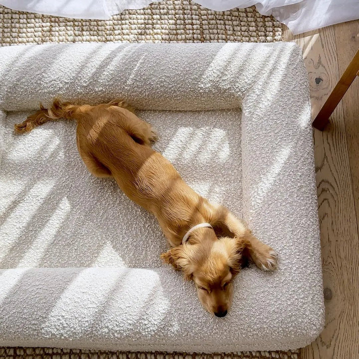 BowLift | Orthopedic Dog Cushion with Bouclé Cover – Memory Foam and Washable