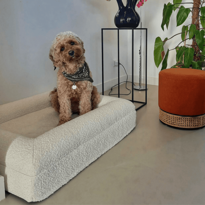 BowLift | Orthopedic Dog Cushion with Bouclé Cover – Memory Foam and Washable