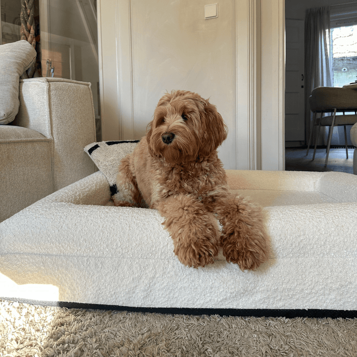BowLift | Orthopedic Dog Cushion with Bouclé Cover – Memory Foam and Washable