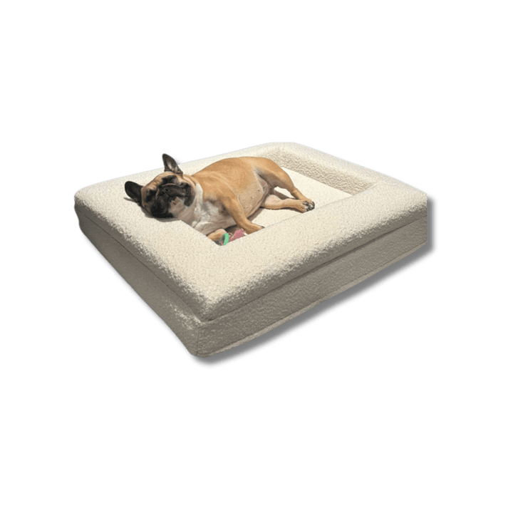 BowLift | Orthopedic Dog Cushion with Bouclé Cover – Memory Foam and Washable