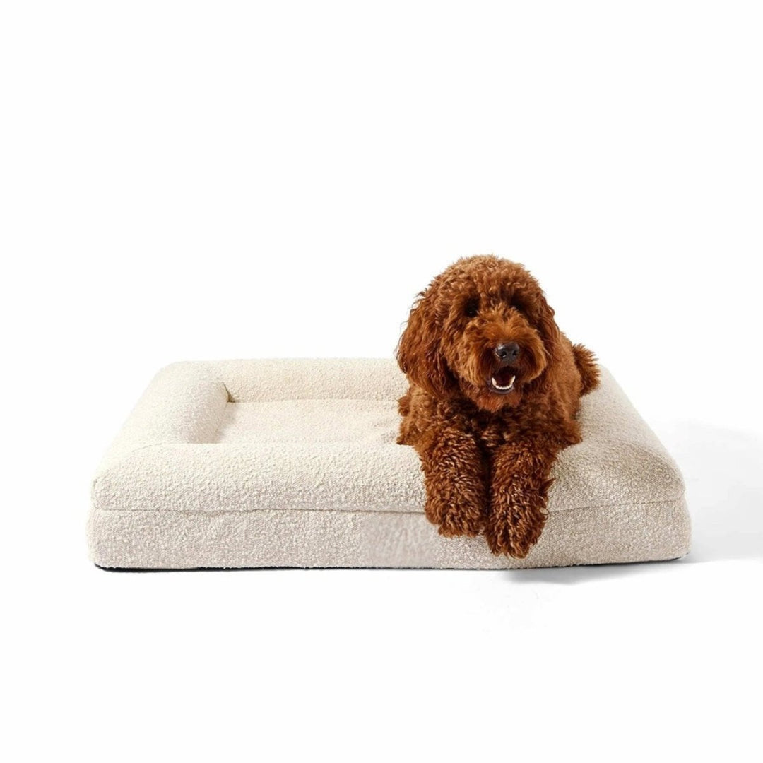 BowLift | Orthopedic Dog Cushion with Bouclé Cover – Memory Foam and Washable