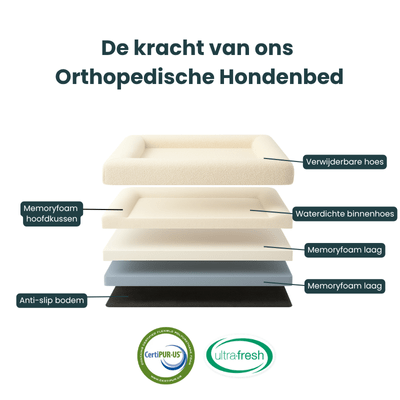 BowLift | Orthopedic Dog Cushion with Bouclé Cover – Memory Foam and Washable