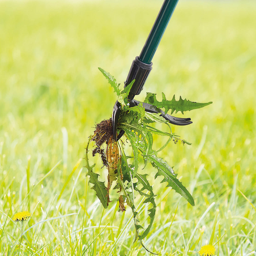 BowLift | Long Handled Weed Puller Remover Weeding Tools